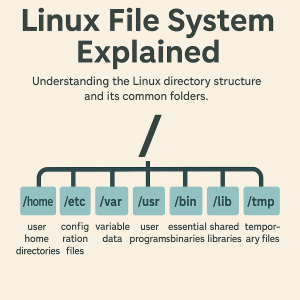 Linux File System Explained (with Practical Examples)
