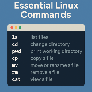 Essential Linux Commands Every Beginner Must Know