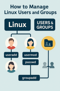 How to Manage Linux Users and Groups