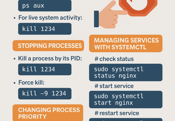 How to Manage Processes in Linux